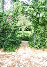 Enlarge photo 104