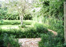 Enlarge photo 105