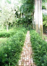 Enlarge photo 107
