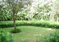 Enlarge photo 108