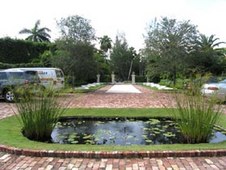 Enlarge photo 113