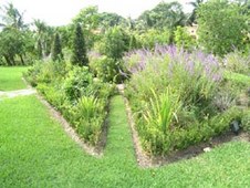 Enlarge photo 175