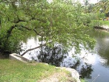 Enlarge photo 179