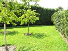 Enlarge photo 182