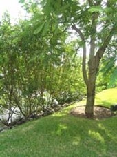 Enlarge photo 164