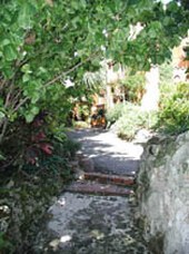 Enlarge photo 298
