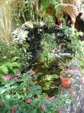 Enlarge photo 301