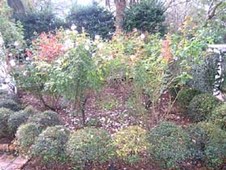 Enlarge photo 198