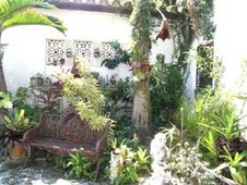 Enlarge photo 274