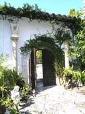 Enlarge photo 276