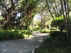 Enlarge photo 219