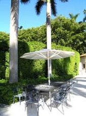 Enlarge photo 226