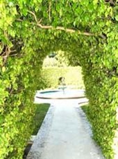 Enlarge photo 237