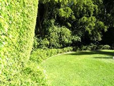 Enlarge photo 242
