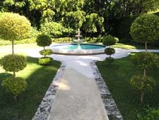 Enlarge photo 245