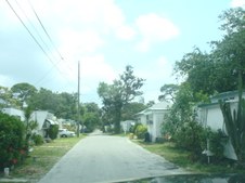 Enlarge photo 45