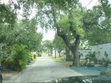 Enlarge photo 46