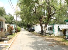 Enlarge photo 47