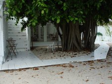 Enlarge photo 55