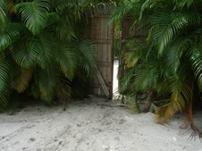Enlarge photo 56