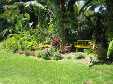 Enlarge photo 72