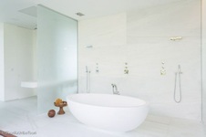 Enlarge photo 260