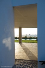 Enlarge photo 243