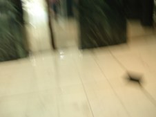 Enlarge photo 72