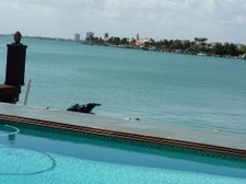 Enlarge photo 130