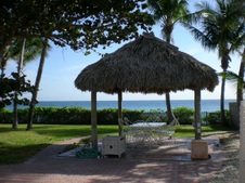 Enlarge photo 268