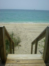 Enlarge photo 233
