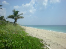Enlarge photo 227
