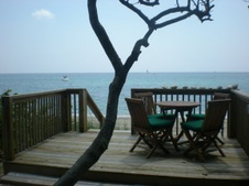 Enlarge photo 229
