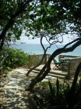 Enlarge photo 235