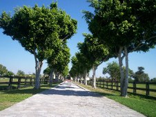 Enlarge photo 60