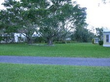 Enlarge photo 64