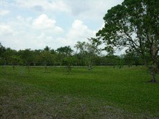 Enlarge photo 78