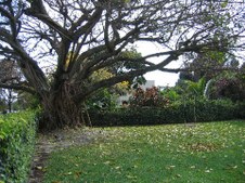 Enlarge photo 66