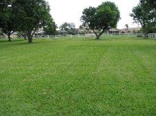 Enlarge photo 80