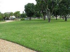 Enlarge photo 82
