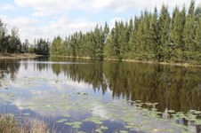 Enlarge photo 160