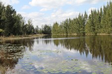 Enlarge photo 161