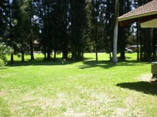 Enlarge photo 120