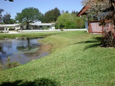 Enlarge photo 123