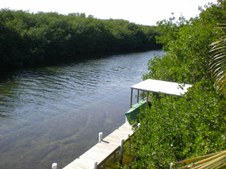 Enlarge photo 96