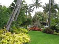 Enlarge photo 33