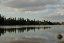 Enlarge photo 164