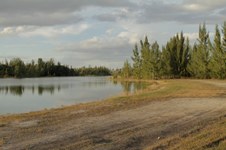Enlarge photo 166