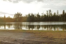 Enlarge photo 167