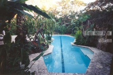 Enlarge photo 59